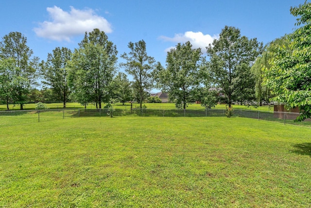 580 Laurel Ln, Murfreesboro, TN 37127 - view of yard