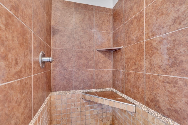 580 Laurel Ln, Murfreesboro, TN 37127 - detailed view of a tile shower