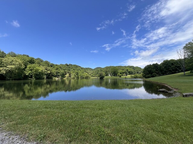 112 Lakeside Dr, Goodlettsville, TN 37072 - photo 67