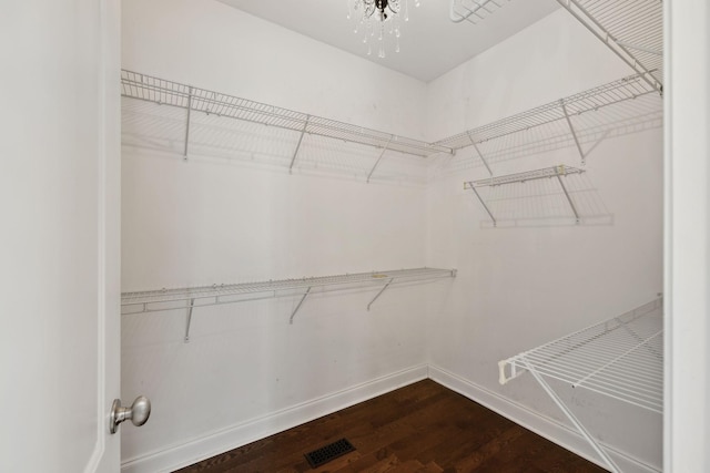 1769 Mayflower Dr, Columbia, TN 38401 - spacious closet with dark wood-style flooring