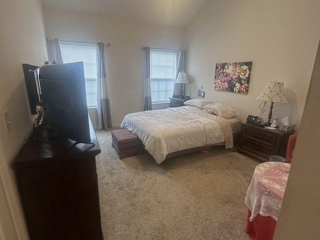 1040 Charlie Daniels Pkwy Unit 105, Mount Juliet, TN 37122 - bedroom with carpet flooring and vaulted ceiling
