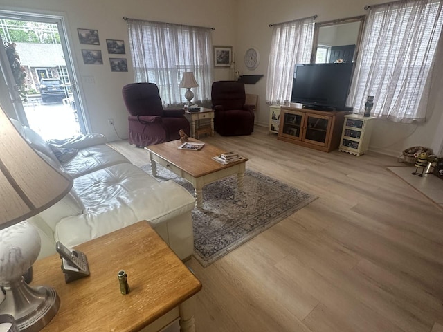 1040 Charlie Daniels Pkwy Unit 105, Mount Juliet, TN 37122 - living room featuring wood finished floors