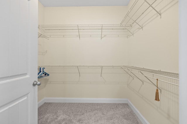 2044 Mainstream Dr, Franklin, TN 37064 - walk in closet featuring carpet flooring