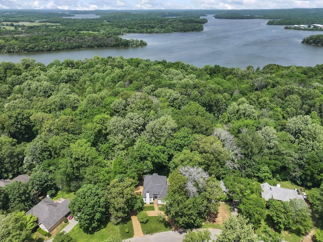 132 Laural Hill Dr, Smyrna, TN 37167 - photo 3