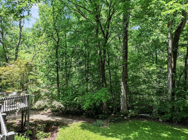 132 Laural Hill Dr, Smyrna, TN 37167 - photo 55
