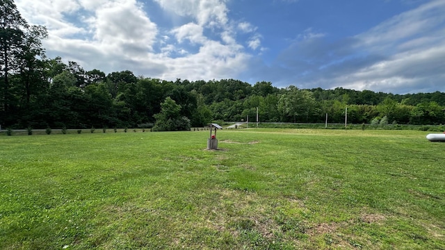 view of grassy yard with a wooded view and a view of rural / pastoral area