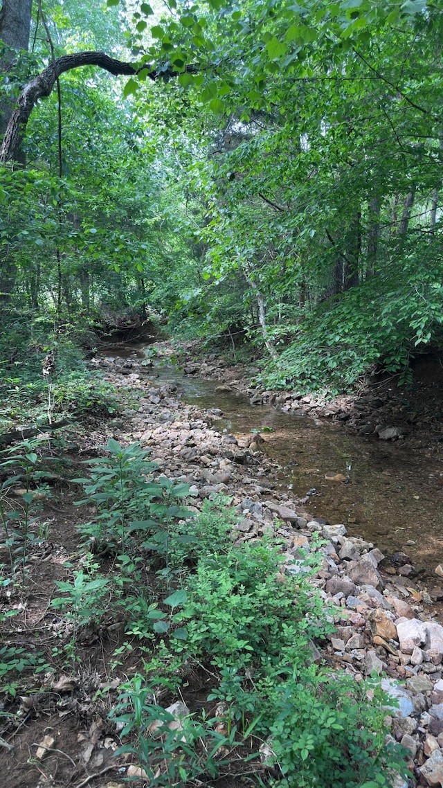 view of local wilderness