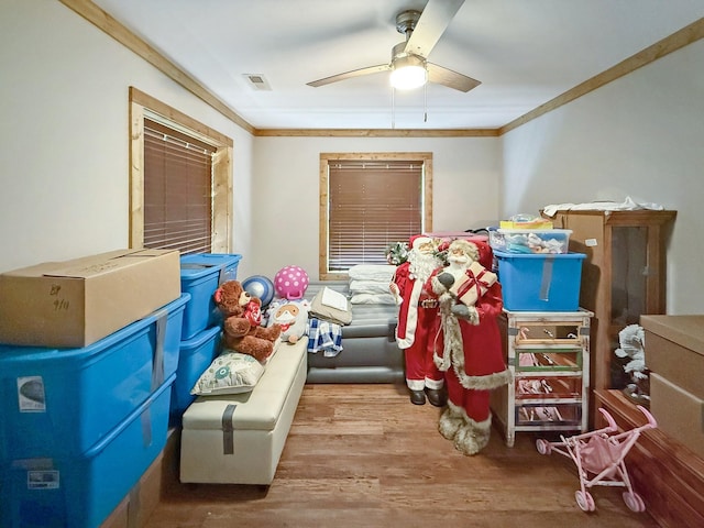 storage featuring ceiling fan