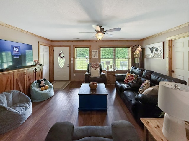 living area with a ceiling fan and dark wood-style flooring