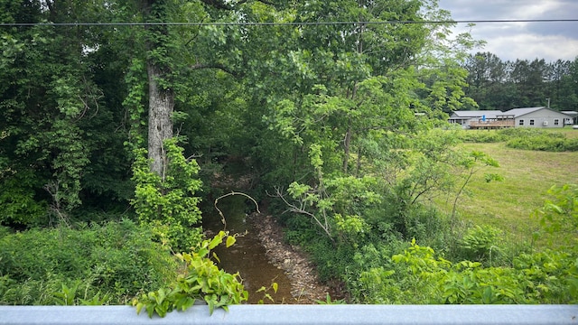 view of tree filled area