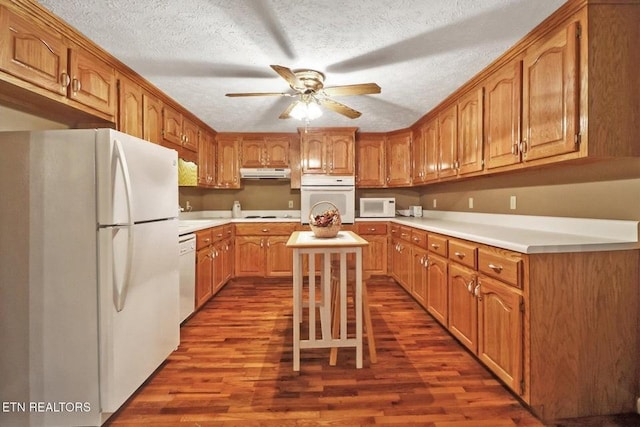 1729 Roslin Rd, Jamestown, TN 38556 - kitchen with white appliances, under cabinet range hood, dark wood-style flooring, ceiling fan, and light countertops