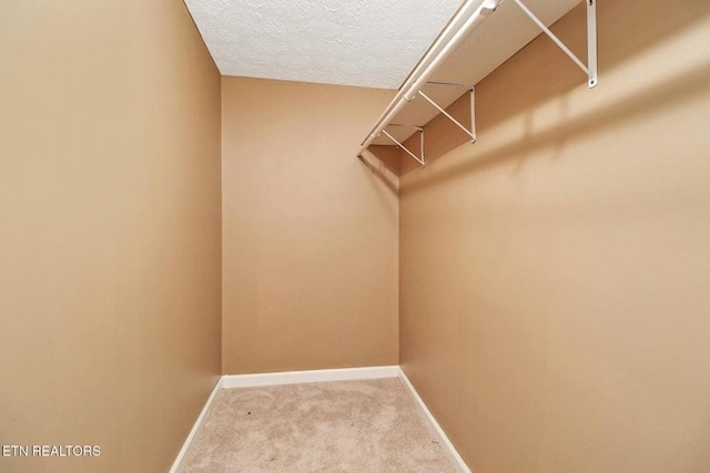 1729 Roslin Rd, Jamestown, TN 38556 - walk in closet with carpet flooring