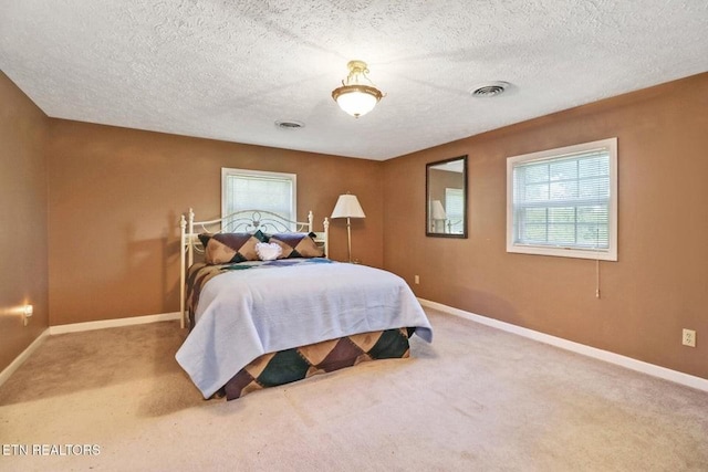 1729 Roslin Rd, Jamestown, TN 38556 - carpeted bedroom featuring multiple windows and a textured ceiling