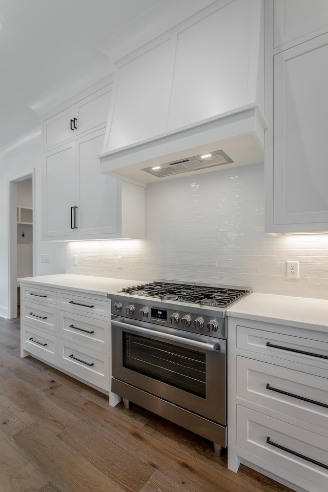 kitchen with stainless steel gas range oven, premium range hood, decorative backsplash, and white cabinets