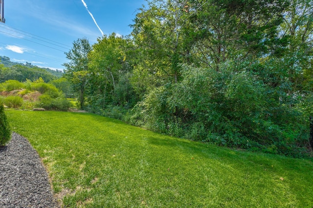 view of grassy yard