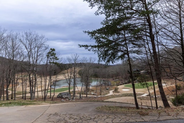 0 Eagle Creek Trl, Rising Fawn, GA 30738