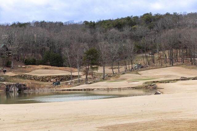 0 Eagle Creek Trl, Rising Fawn, GA 30738