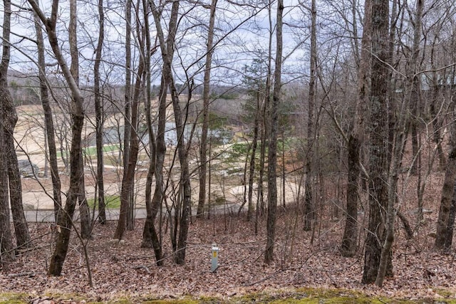 0 Eagle Creek Trl, Rising Fawn, GA 30738