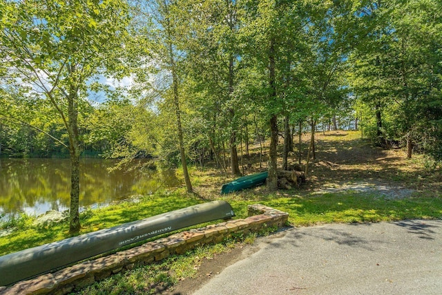 0 Stonesthrow Ln, Lookout Mountain, GA 30750