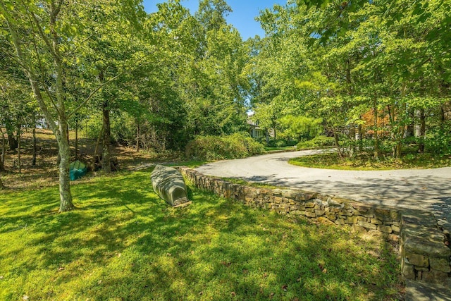 0 Stonesthrow Ln, Lookout Mountain, GA 30750