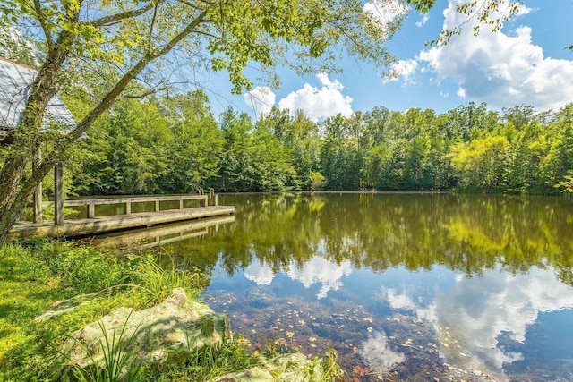 0 Stonesthrow Ln, Lookout Mountain, GA 30750
