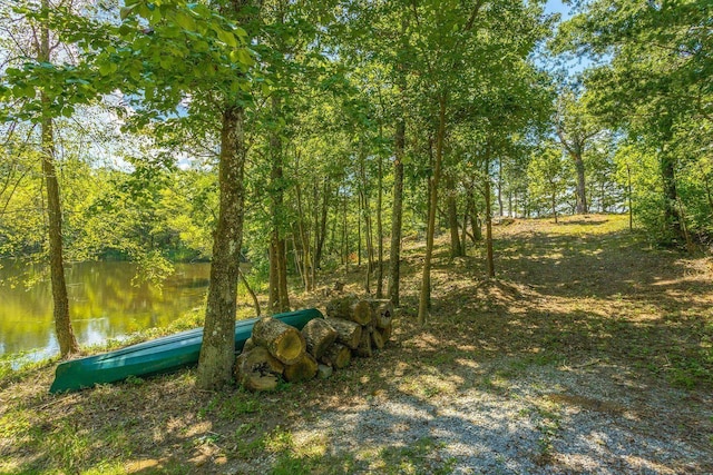 0 Stonesthrow Ln, Lookout Mountain, GA 30750