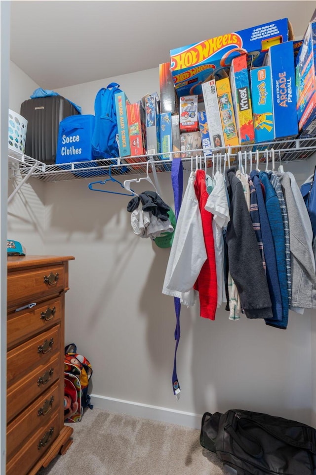 7587 Highborne Ln, Ooltewah, TN 37363 - spacious closet with carpet floors