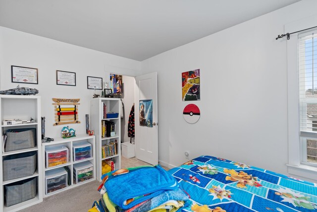 7587 Highborne Ln, Ooltewah, TN 37363 - view of carpeted bedroom
