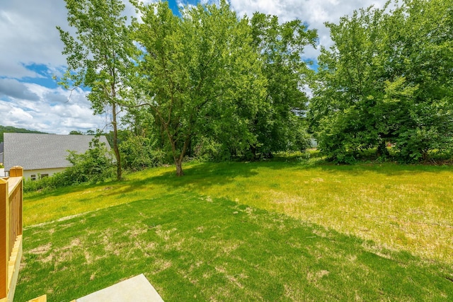 5008 Swan Rd, Chattanooga, TN 37416 - view of green lawn