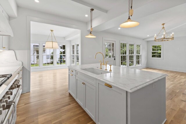 215 Lewisburg Ave, Franklin, TN 37064 - kitchen featuring a sink, high end stainless steel range oven, light wood-style flooring, open floor plan, and light stone counters