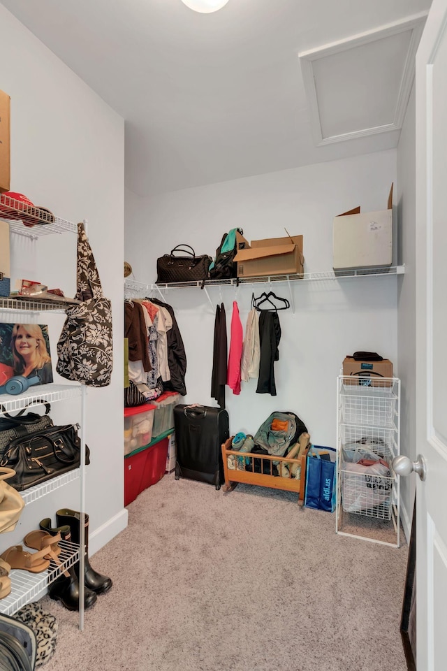 7230 Althorp Way Unit W 12, Nashville, TN 37211 - spacious closet featuring attic access and carpet