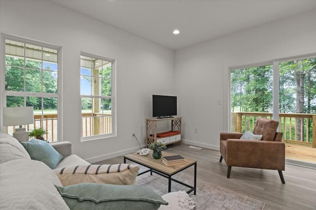 1014 Promise Land Rd, Charlotte, TN 37036 - living area with wood finished floors and recessed lighting