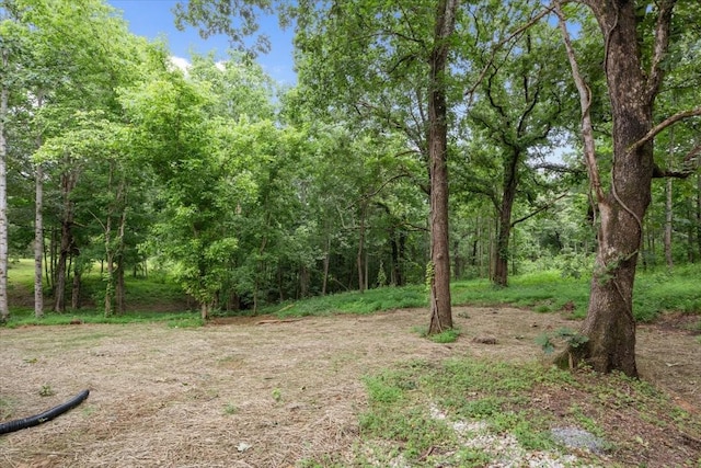 1014 Promise Land Rd, Charlotte, TN 37036 - view of tree filled area