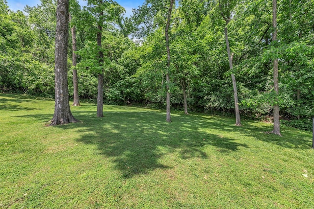 212 Spirit Hill Cir, Smyrna, TN 37167 - view of green lawn