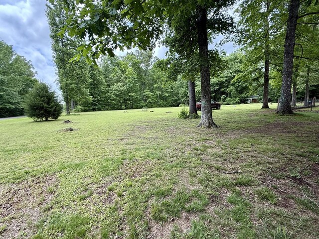 261 Oak Dr, Beechgrove, TN 37018 - view of grassy yard