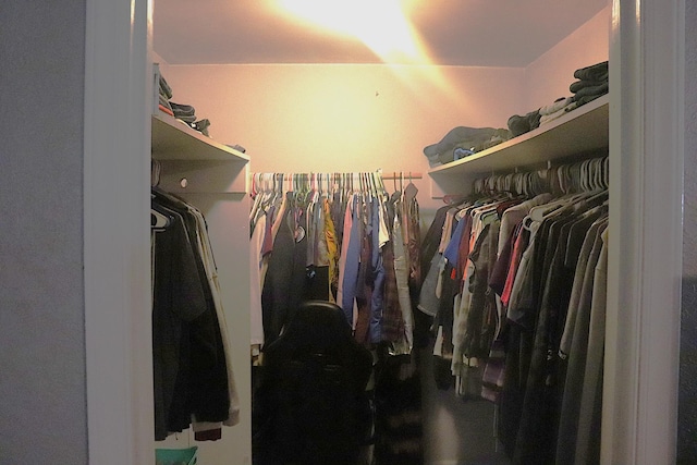261 Oak Dr, Beechgrove, TN 37018 - view of walk in closet