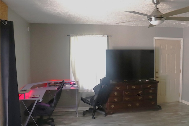261 Oak Dr, Beechgrove, TN 37018 - home office with ceiling fan, wood finished floors, a textured ceiling, and baseboards