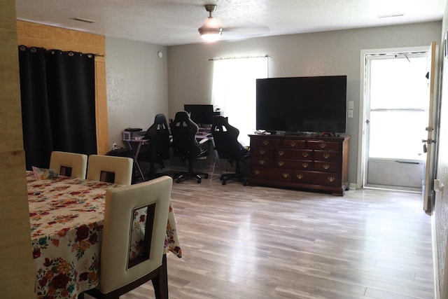 261 Oak Dr, Beechgrove, TN 37018 - bedroom with multiple windows, wood finished floors, a desk, and a textured ceiling