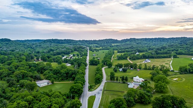 3310 Booker Ridge Rd, Mount Pleasant, TN 38474 - view of aerial view at dusk