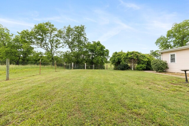 3310 Booker Ridge Rd, Mount Pleasant, TN 38474 - view of yard