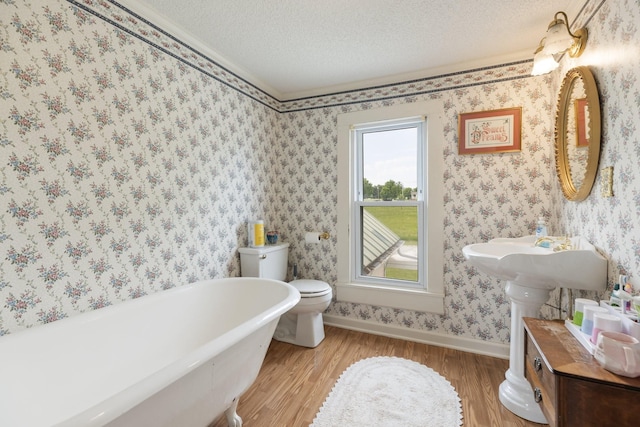 3310 Booker Ridge Rd, Mount Pleasant, TN 38474 - bathroom featuring wood finished floors, a freestanding tub, baseboards, a textured ceiling, and toilet