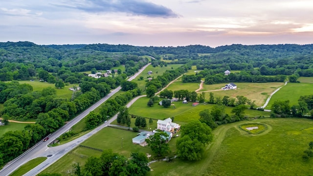 3310 Booker Ridge Rd, Mount Pleasant, TN 38474 - aerial view at dusk of a rural view