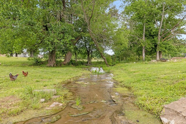 3310 Booker Ridge Rd, Mount Pleasant, TN 38474 - view of yard