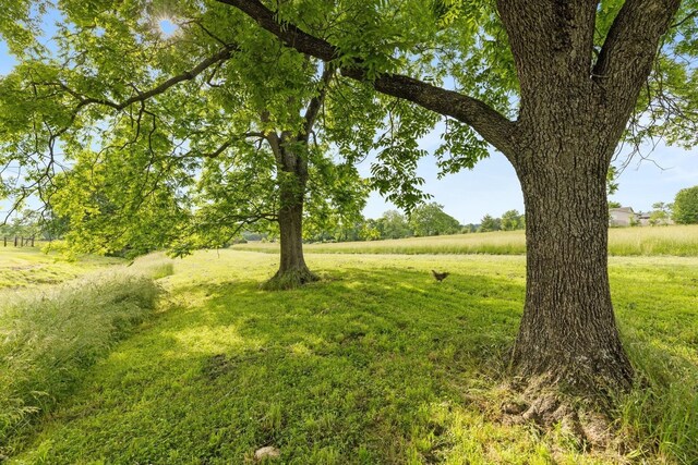 3310 Booker Ridge Rd, Mount Pleasant, TN 38474 - view of grassy yard
