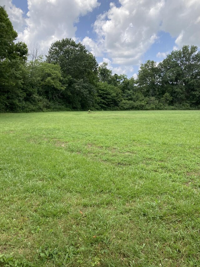 6897 Comstock Rd, College Grove, TN 37046 - photo 2