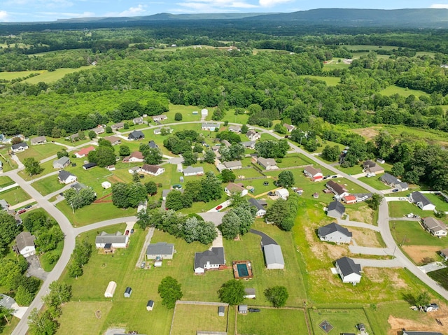 drone / aerial view of a forest