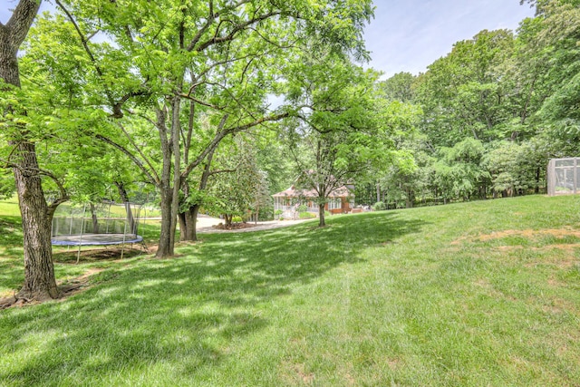 114 Moonlight Dr, Gallatin, TN 37066 - view of green lawn with a trampoline