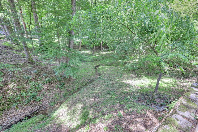 114 Moonlight Dr, Gallatin, TN 37066 - view of undeveloped land