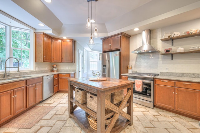 114 Moonlight Dr, Gallatin, TN 37066 - kitchen featuring stainless steel appliances, wall chimney range hood, a sink, a tray ceiling, and healthy amount of natural light