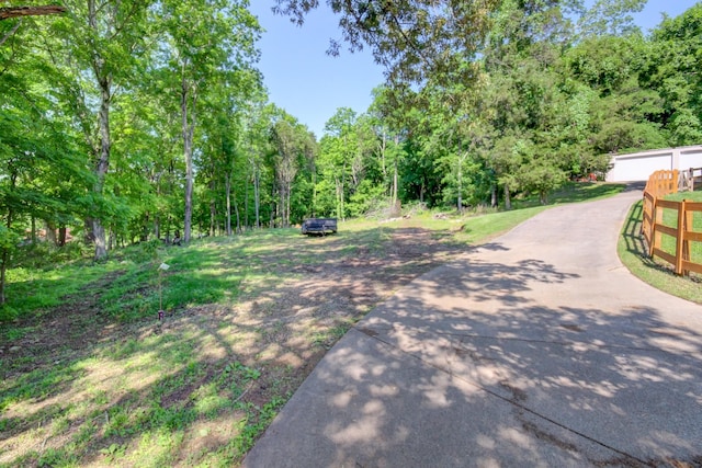 1176 Seven Mile Ferry Rd N, Clarksville, TN 37040 - photo 59